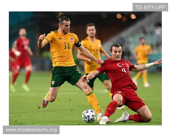 雷速体育下载官网最新版最新版本更新内容全面解析与使用技巧分享