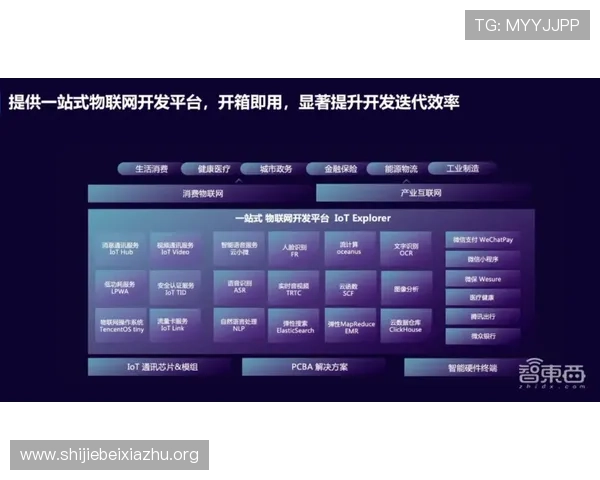 世界杯竞猜投注官网：详细解析各大平台的赔率优势与投注流程指南